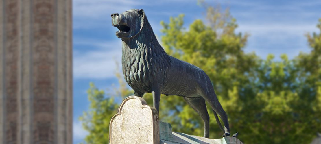 Wahrzeichen, der Löwe in Braunschweig, Link zu den Leistungen